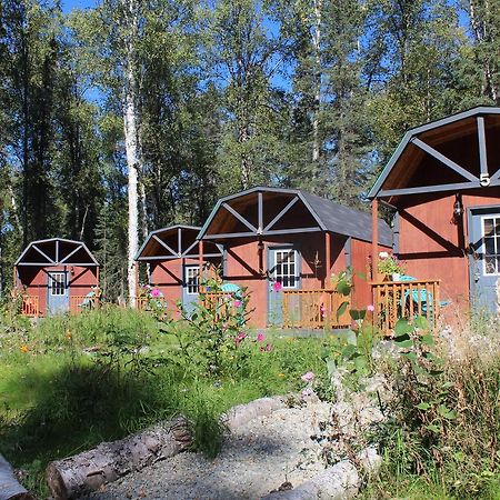 Dfa Cabin Rentals Talkeetna Bagian luar foto