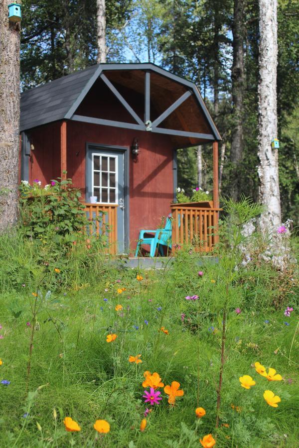 Dfa Cabin Rentals Talkeetna Bagian luar foto