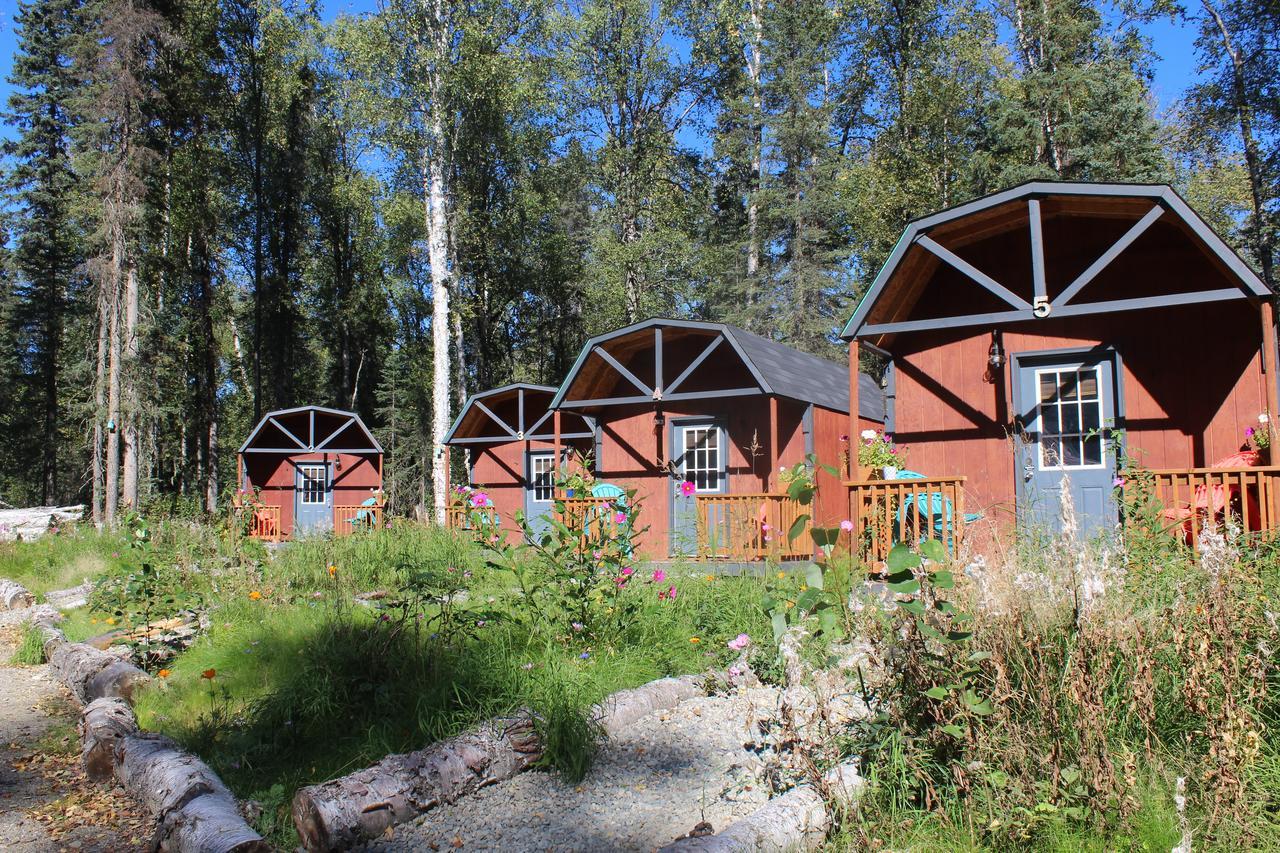 Dfa Cabin Rentals Talkeetna Bagian luar foto